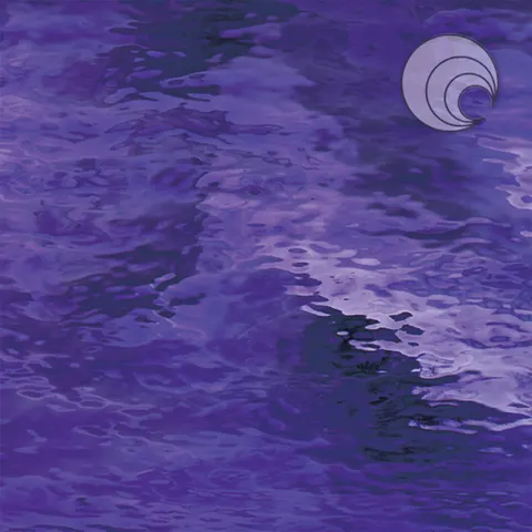 OGT 543-2W-F Grape Waterglass®